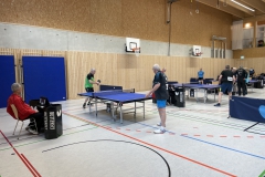 TT_BaWueSenEN_MHirsch